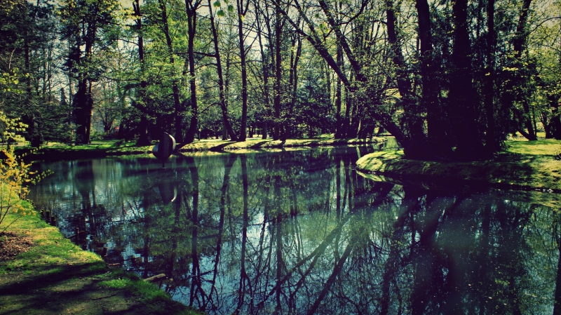 wiosenny park oliwski